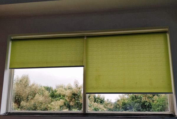 Energy Efficiency: How Roll Up Curtains Can Save You Money